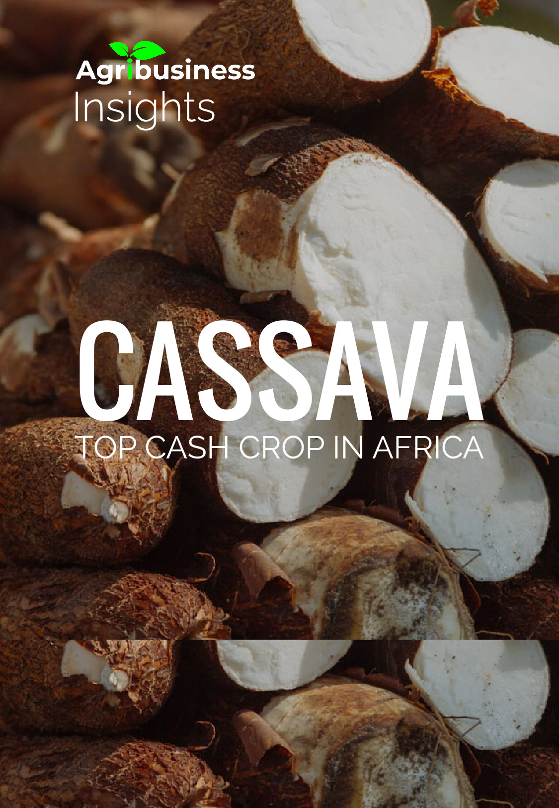 CASSAVA, top cash crop Africa.